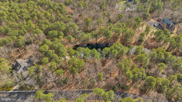 a close up of a plant in a garden