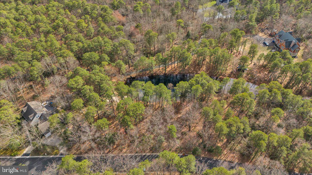 128 Bortons Road Marlton, NJ 08053 - Photo 44 of 48 a close up of a plant in a garden