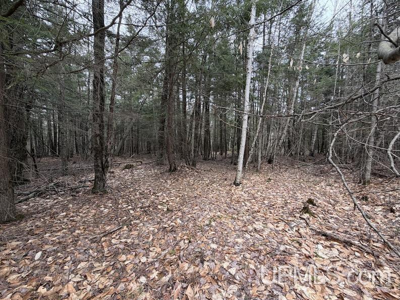 Tbd K Road Bark River, MI 49807 - Photo 6 of 8