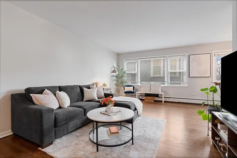 a living room with furniture potted plant and a window