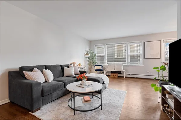 a living room with furniture potted plant and a window