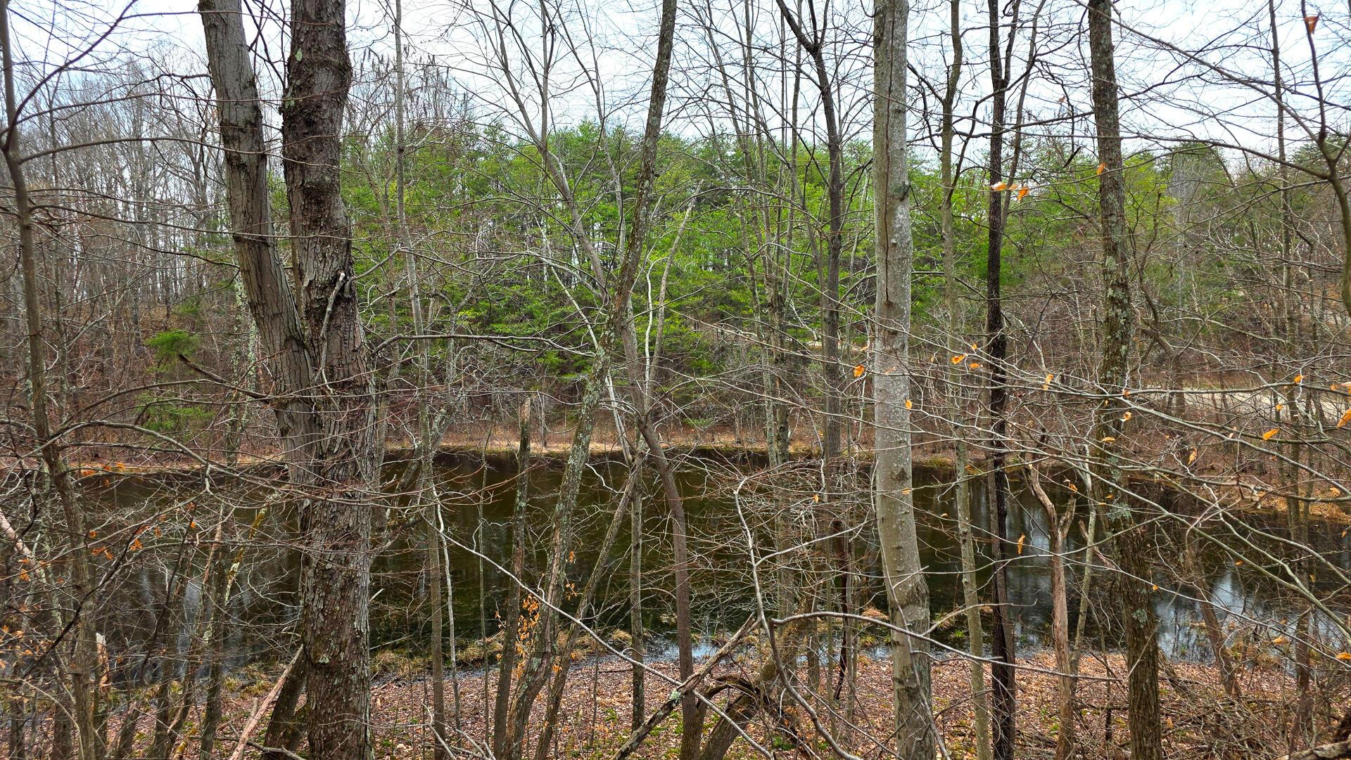 830 Nibert Road, Unit PONDS POPLAR RIDGE TRACT 3) Gallipolis, OH 45631 - Photo 2 of 23 CT-2