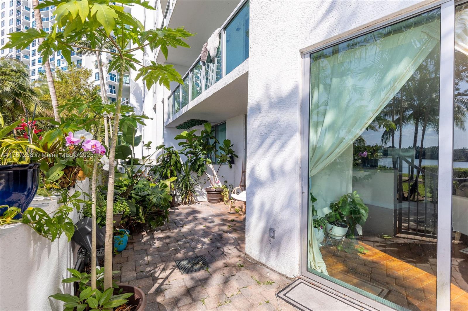 2681 North Flamingo Road, Unit TH4S Sunrise, FL 33323 - Photo 16 of 27 a potted plant sitting in front of a glass door