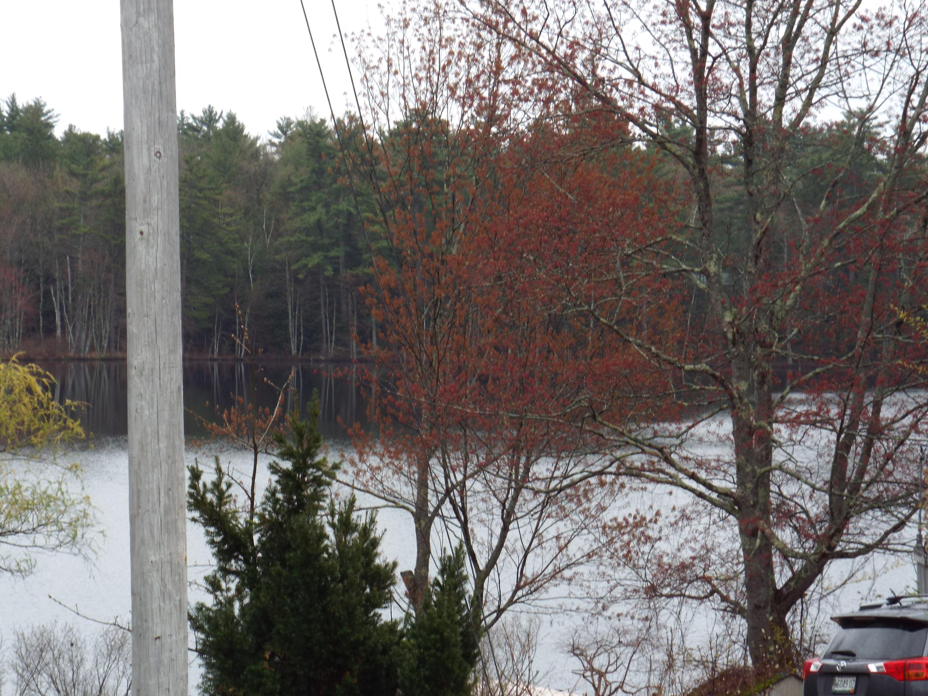 47 Bradburn Road Waterboro, ME 04087 - Photo 2 of 15 47 Bradburn Water View