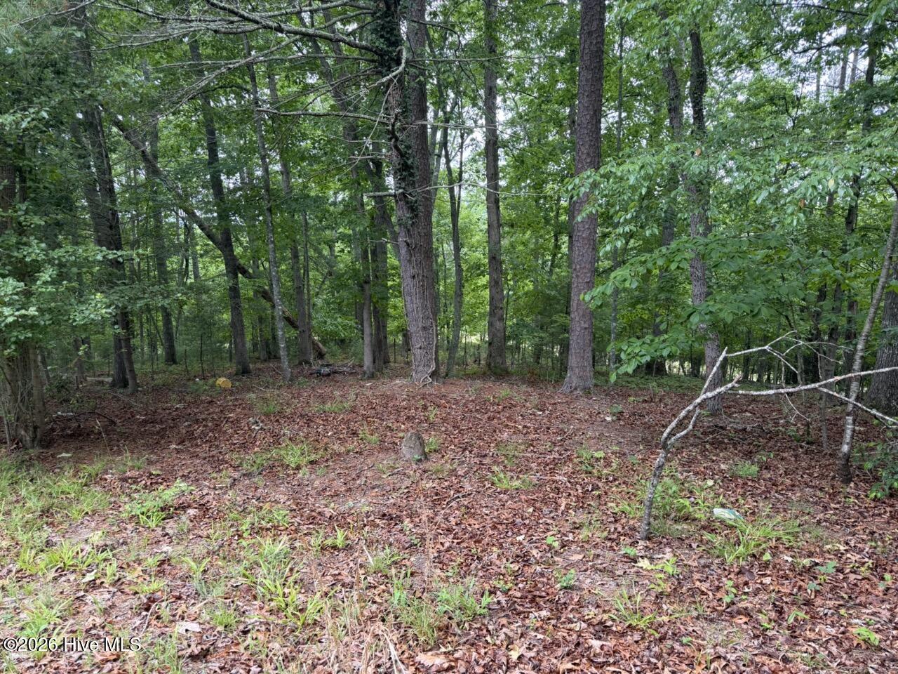 274 Snow Hill Ridge Road Murphy, NC 28906 - Photo 1 of 30