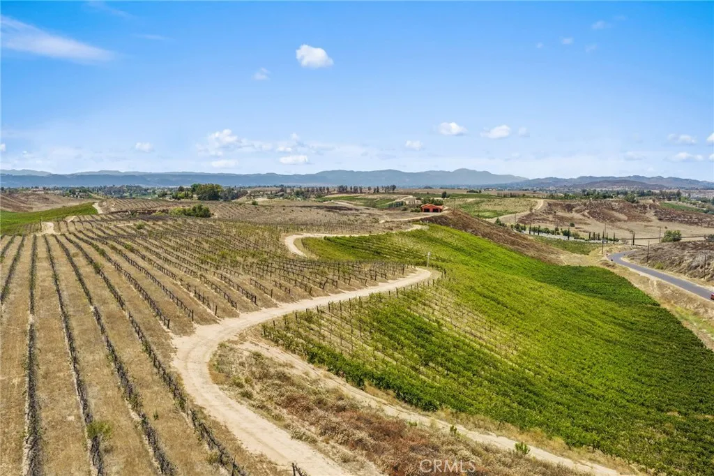 0 Rancho California Road Temecula, CA 92592 - Photo 9 of 13 Vineyards