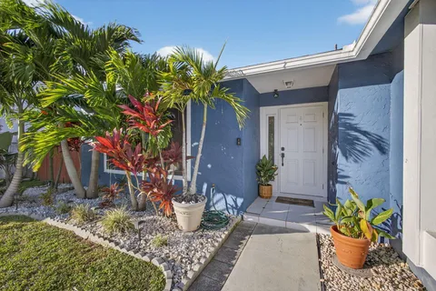 a potted plant sitting in front of a house