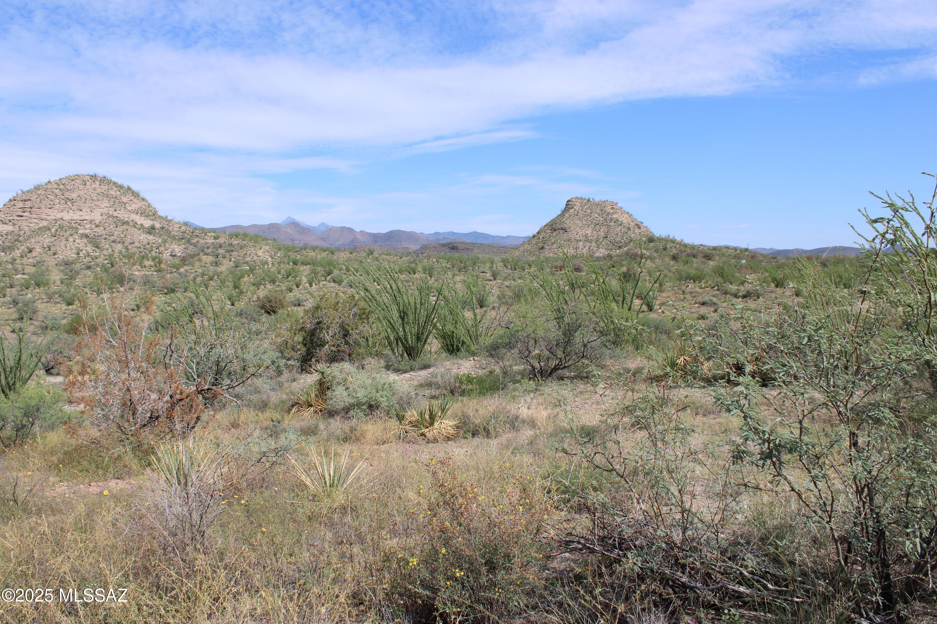 1141 Paseo Molango, Unit 47 Rio Rico, AZ 85648 - Photo 7 of 7