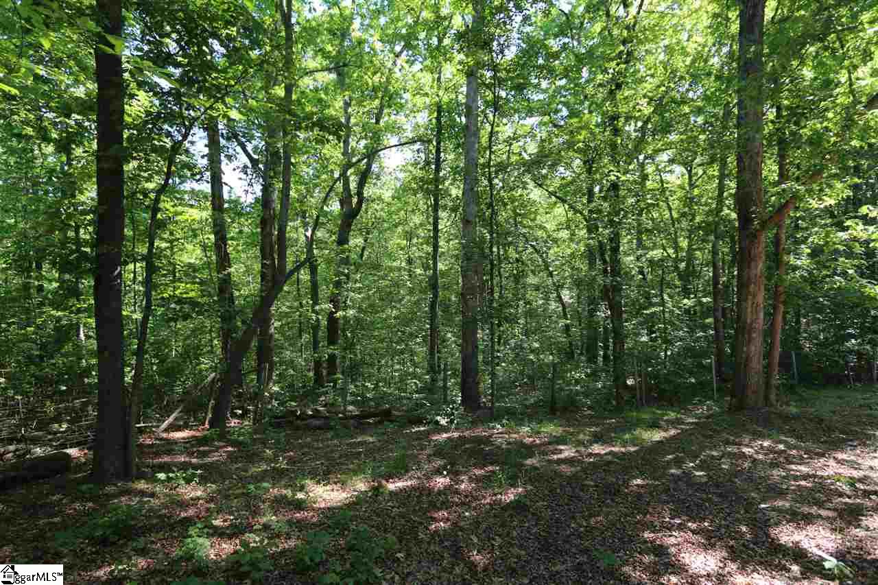 3169 State Park Road Greenville, SC 29609 - Photo 22 of 22