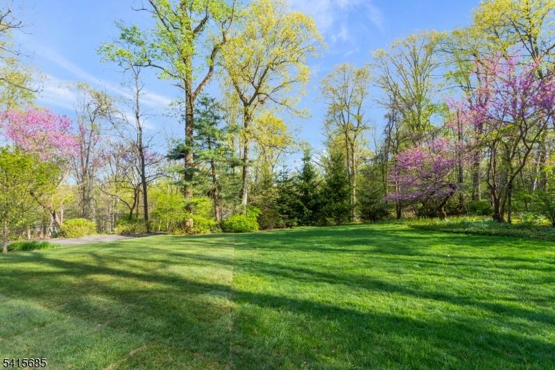 167 Ridge Road Watchung, NJ 07069 - Photo 42 of 50