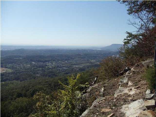 1406 East Brow Road Signal Mountain, TN 37377 - Photo 4 of 5 E Brow4