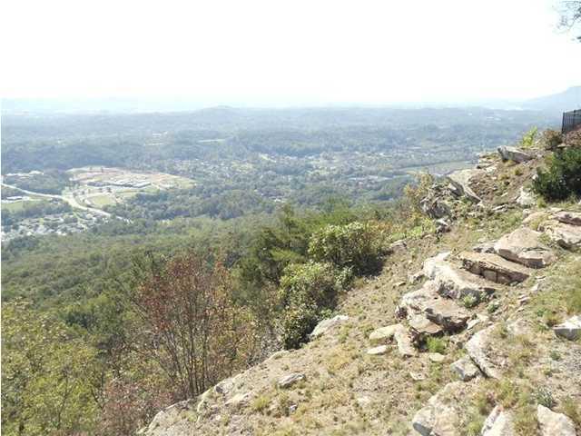 1406 East Brow Road Signal Mountain, TN 37377 - Photo 5 of 5 E Brow5