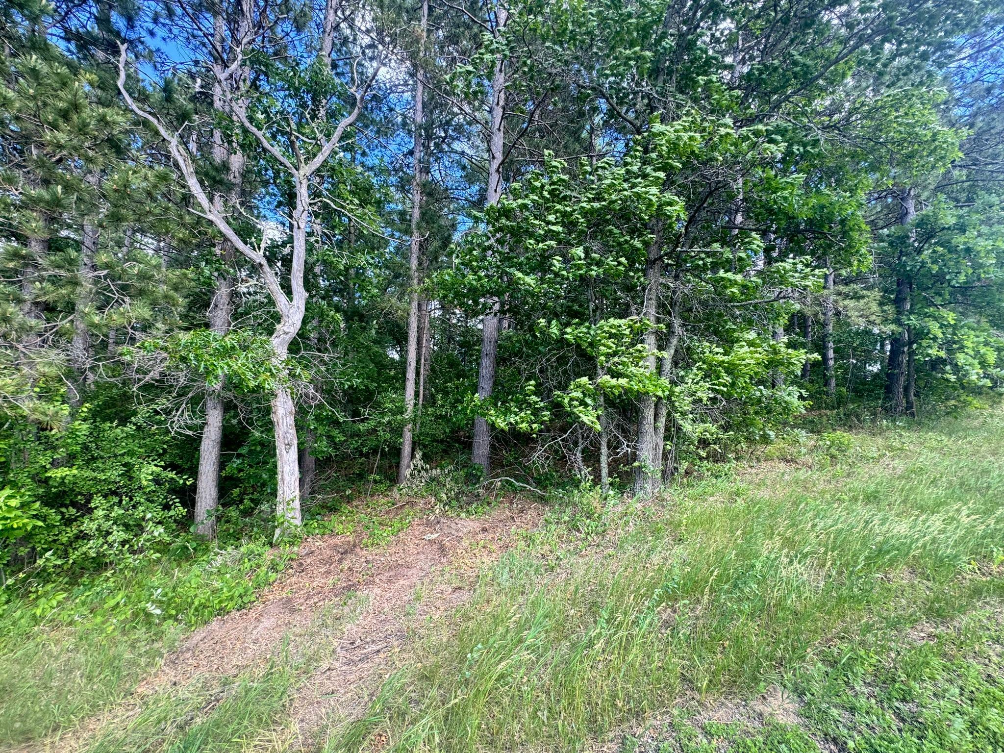 1 County 13 Nevis, MN 56467 - Photo 3 of 3