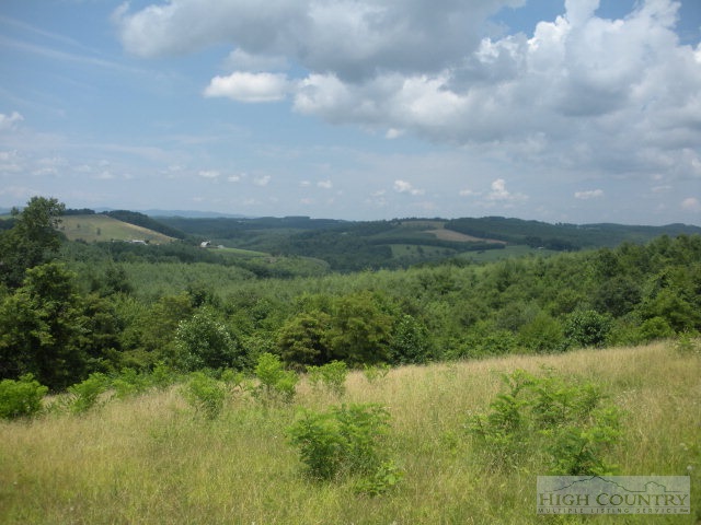 73 Smith Acres Road Ennice, NC 28623 - Photo 17 of 22 a view of lake with green space