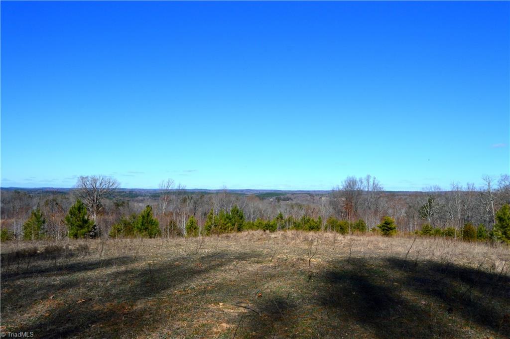 0 Schoolfield Road Ruffin, NC 27326 - Photo 3 of 30