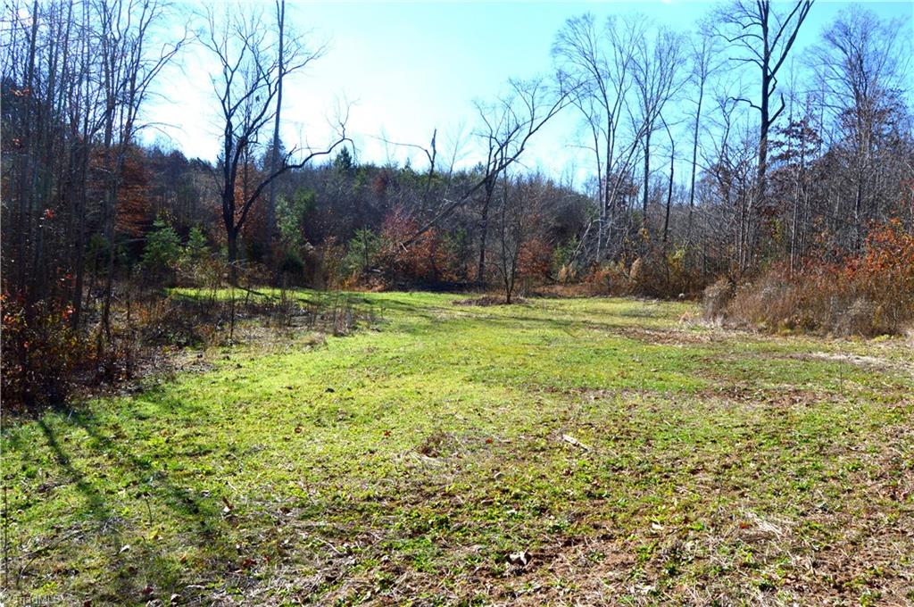 0 Schoolfield Road Ruffin, NC 27326 - Photo 5 of 30