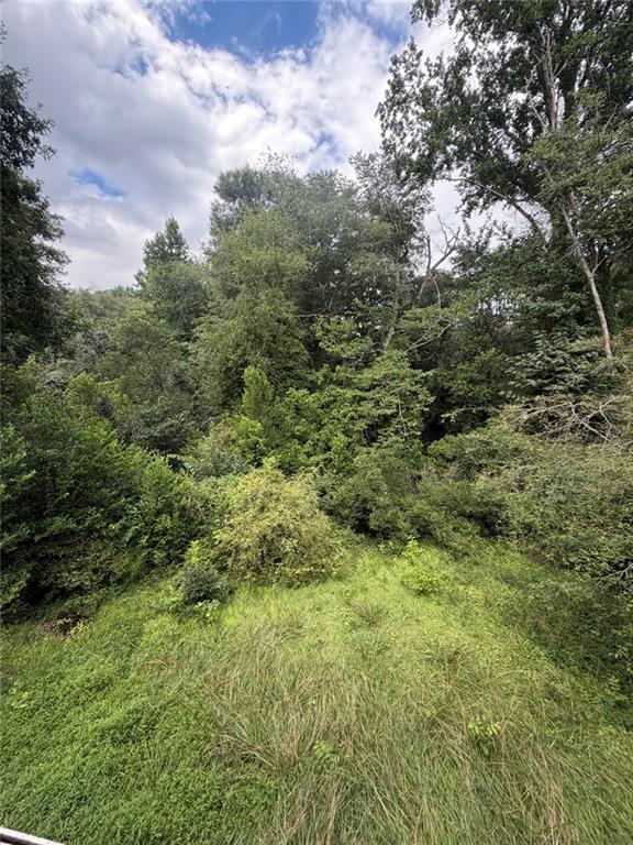 4110 Emerald Lake Drive Decatur, GA 30035 - Photo 18 of 18