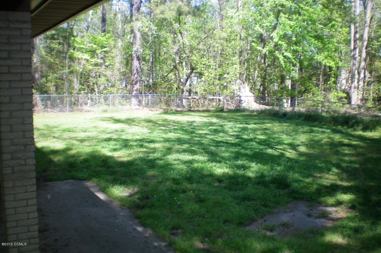 608 Stately Pines Road New Bern, NC 28560 - Photo 5 of 21 Backyard