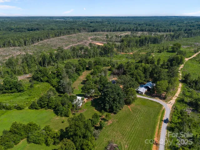 a view of a lush green forest with trees and some houses