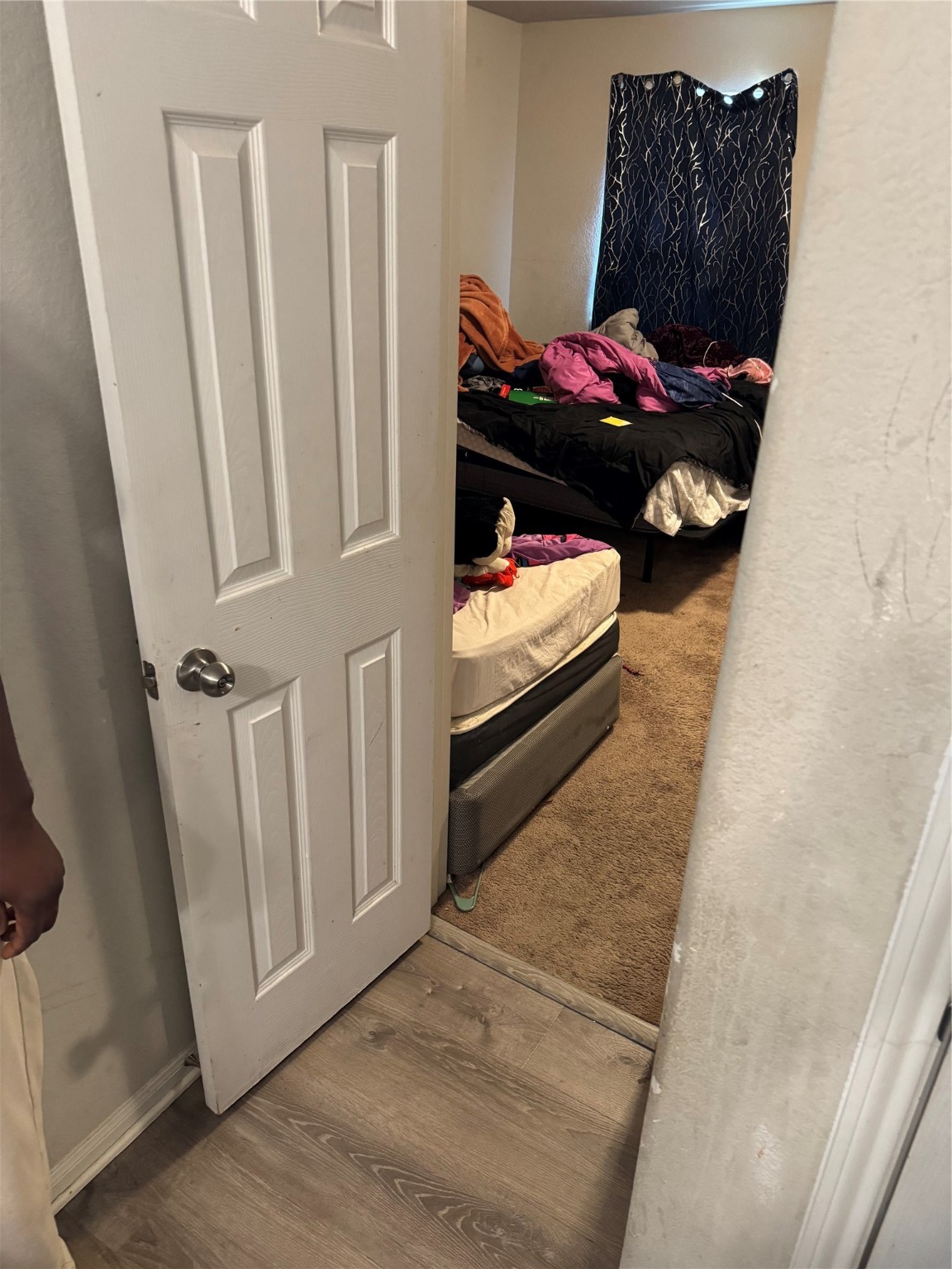 8814 Alpine Wood Way Rosharon, TX 77583 - Photo 3 of 19