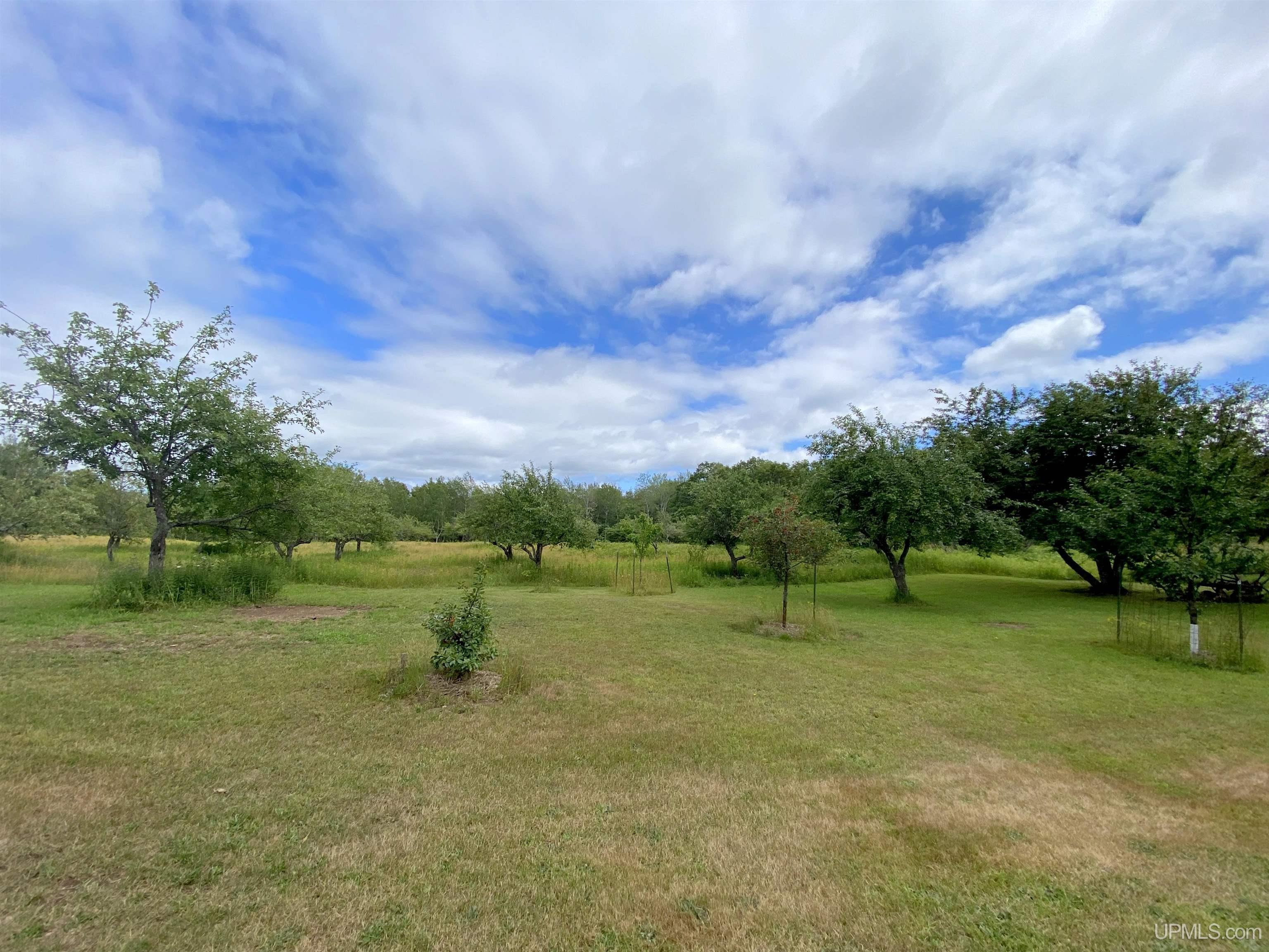 54410 Old County Road Calumet, MI 49913 - Photo 49 of 54
