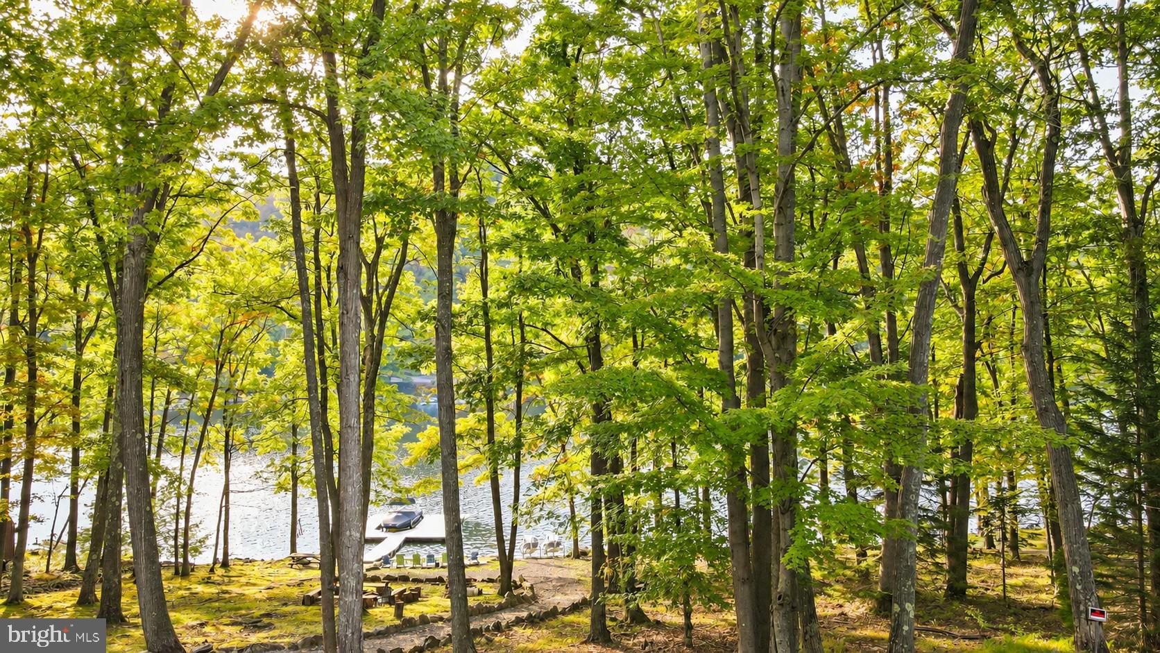 2570 State Park Road Swanton, MD 21561 - Photo 54 of 62 Gallery Image 54