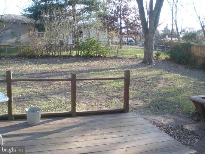 Back yard