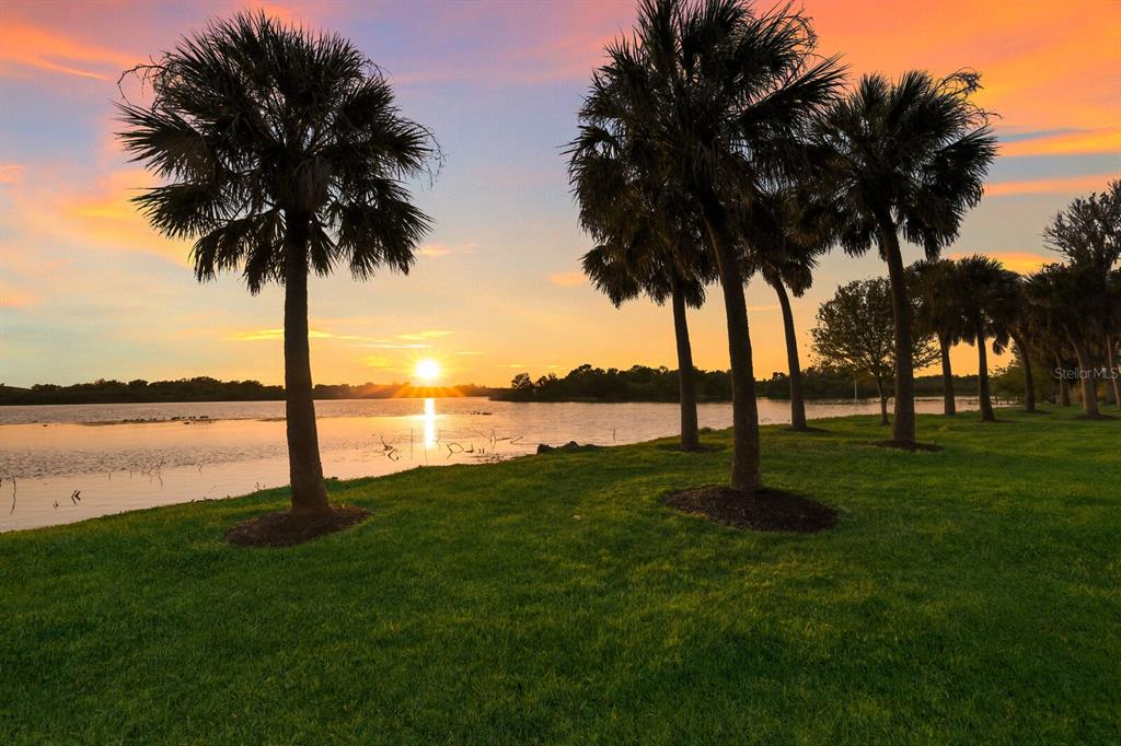 River Road Bradenton, FL 34203 - Photo 11 of 35 Gallery Image 11
