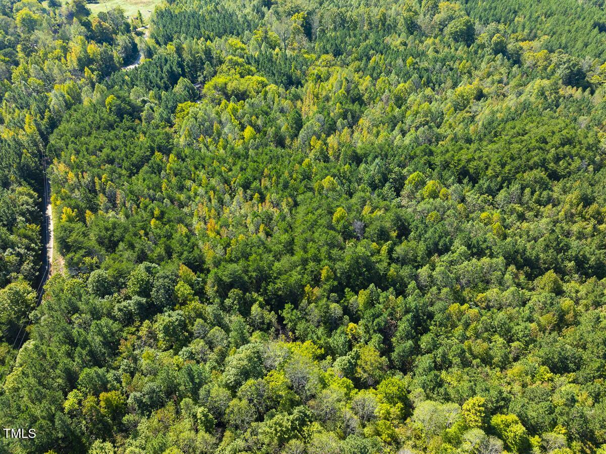 Lot-8-00 Wilson Road Providence, NC 27315 - Photo 45 of 45 Caswell Co. NC 16.55-Backwoods-Lot 8-45