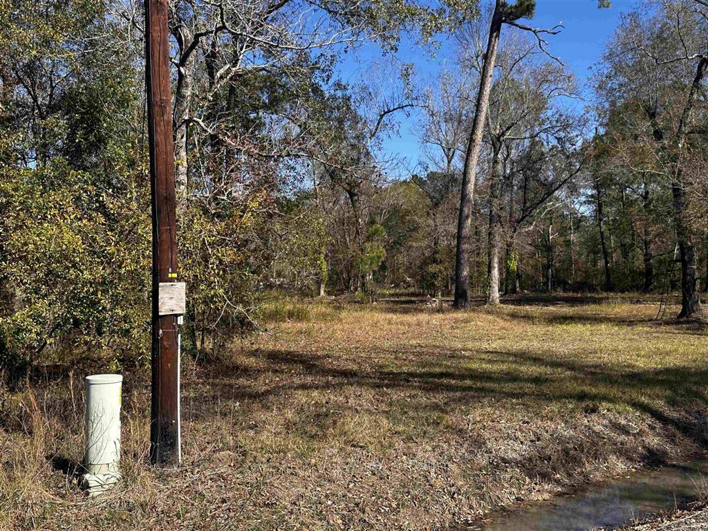 112 Angus Drive Ragley, LA 70657 - Photo 6 of 11