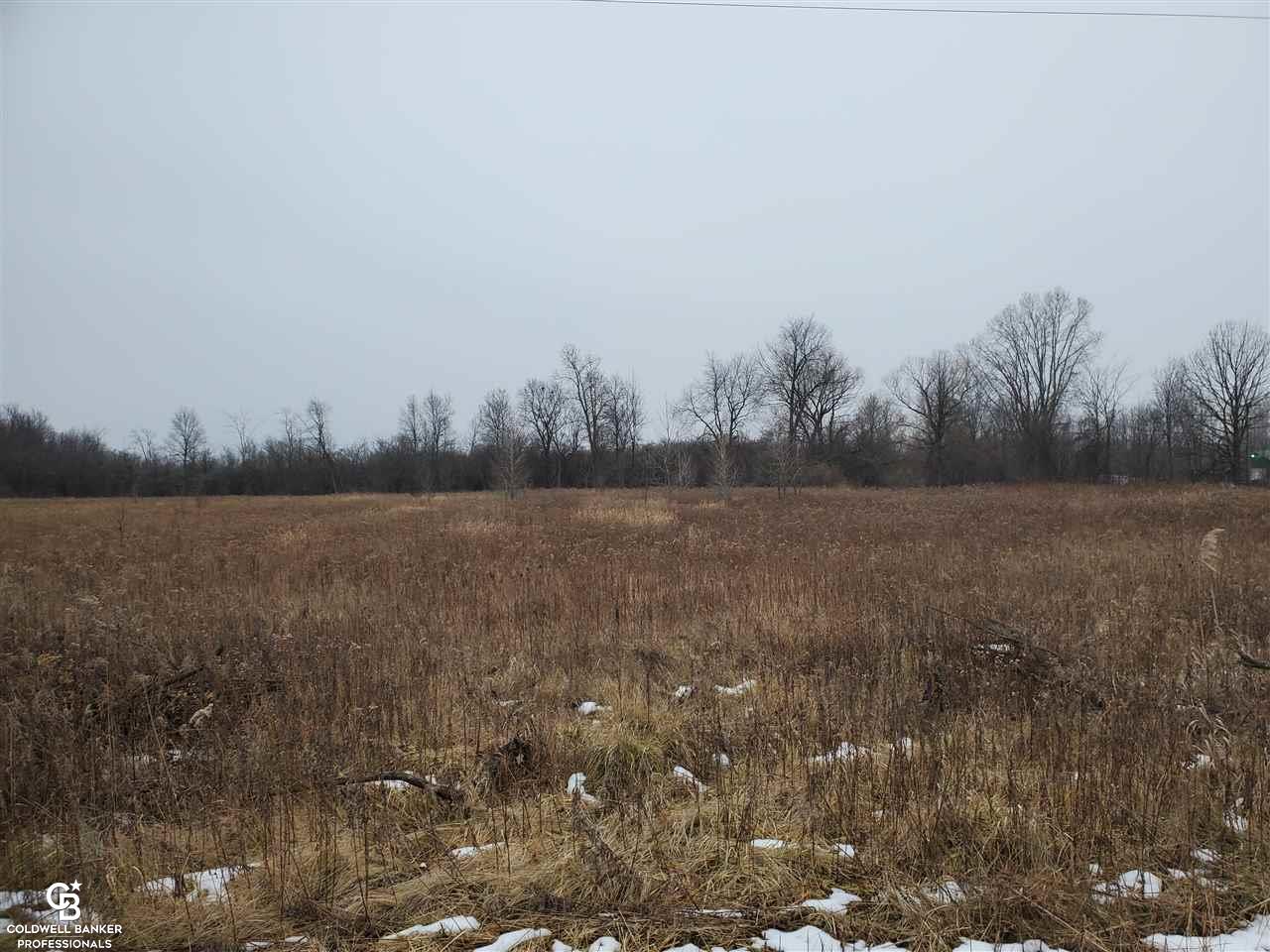 Rynn Rd Ville Avoca, MI 48006 - Photo 2 of 22