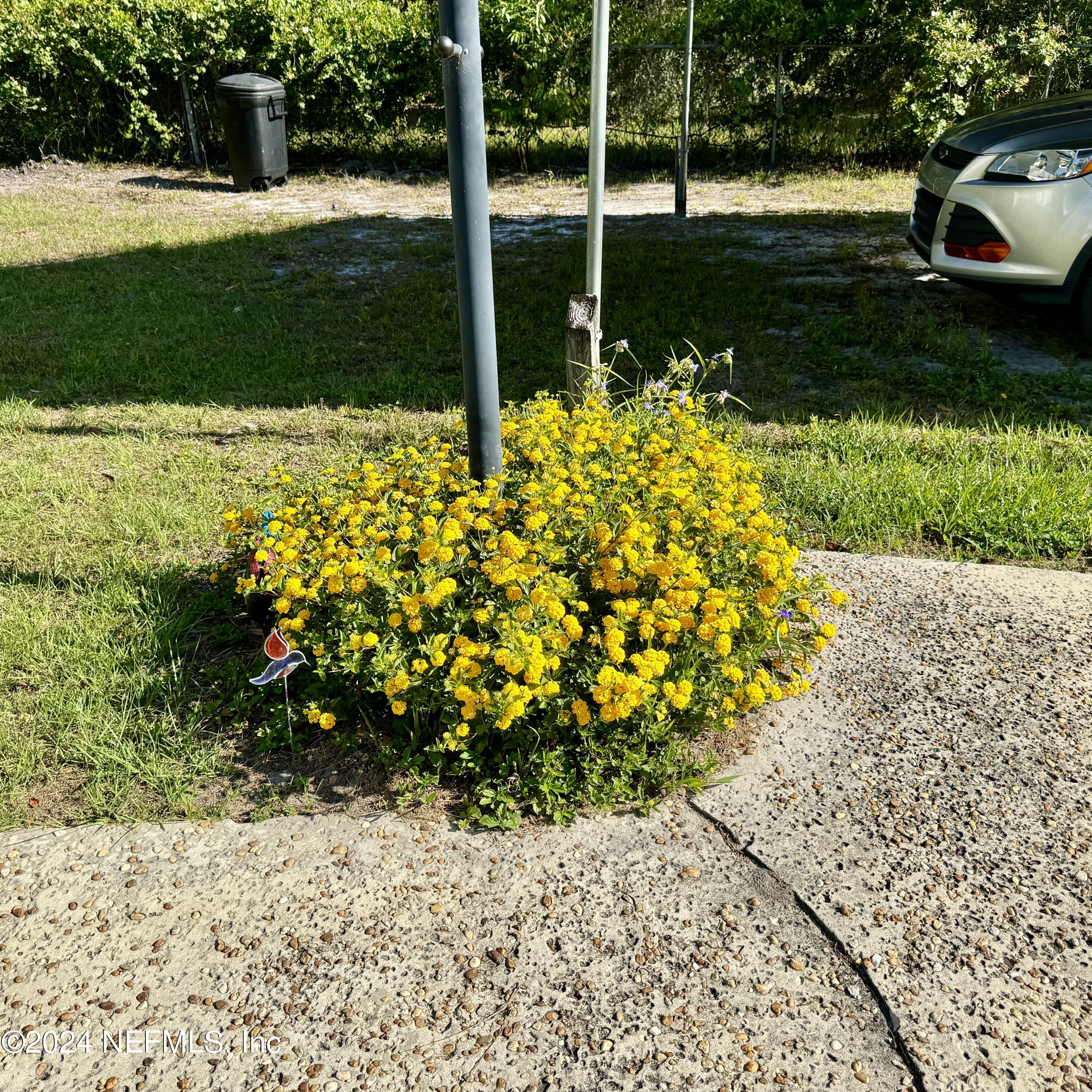 105 George Avenue Interlachen, FL 32148 - Photo 4 of 29 a view of a garden with a bench