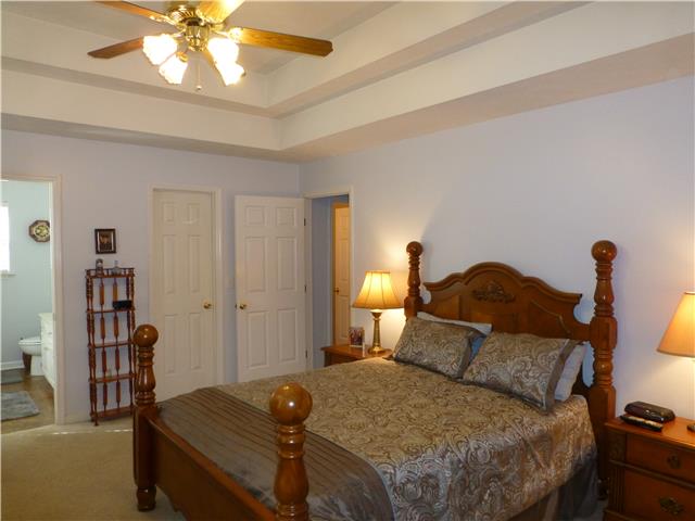 5501 Hunters Point Pike Lebanon, TN 37087 - Photo 11 of 14 Owner's private bedroom with ceiling fan and double trey ceiling, walk in closet and private full bathroom