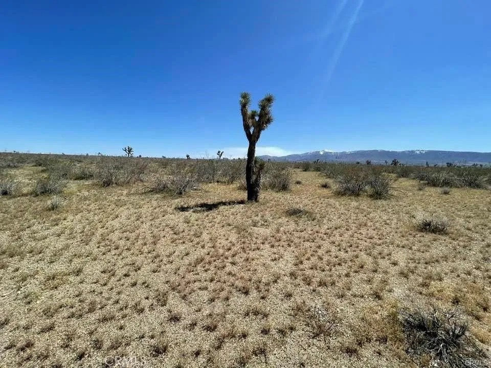 0 Dos Palmas Road Pinon Hills, CA 92372 - Photo 15 of 18