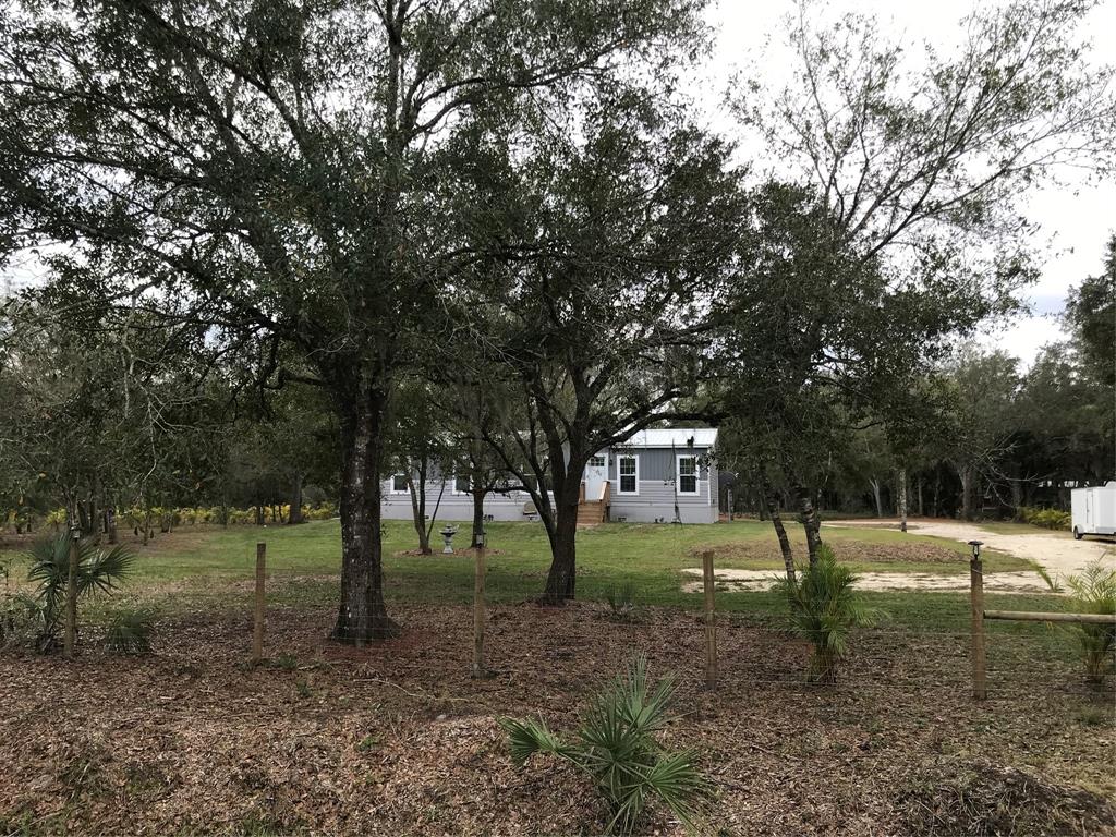 19418 Northwest 246th Street Okeechobee, FL 34972 - Photo 3 of 24 a view of a yard with a tree