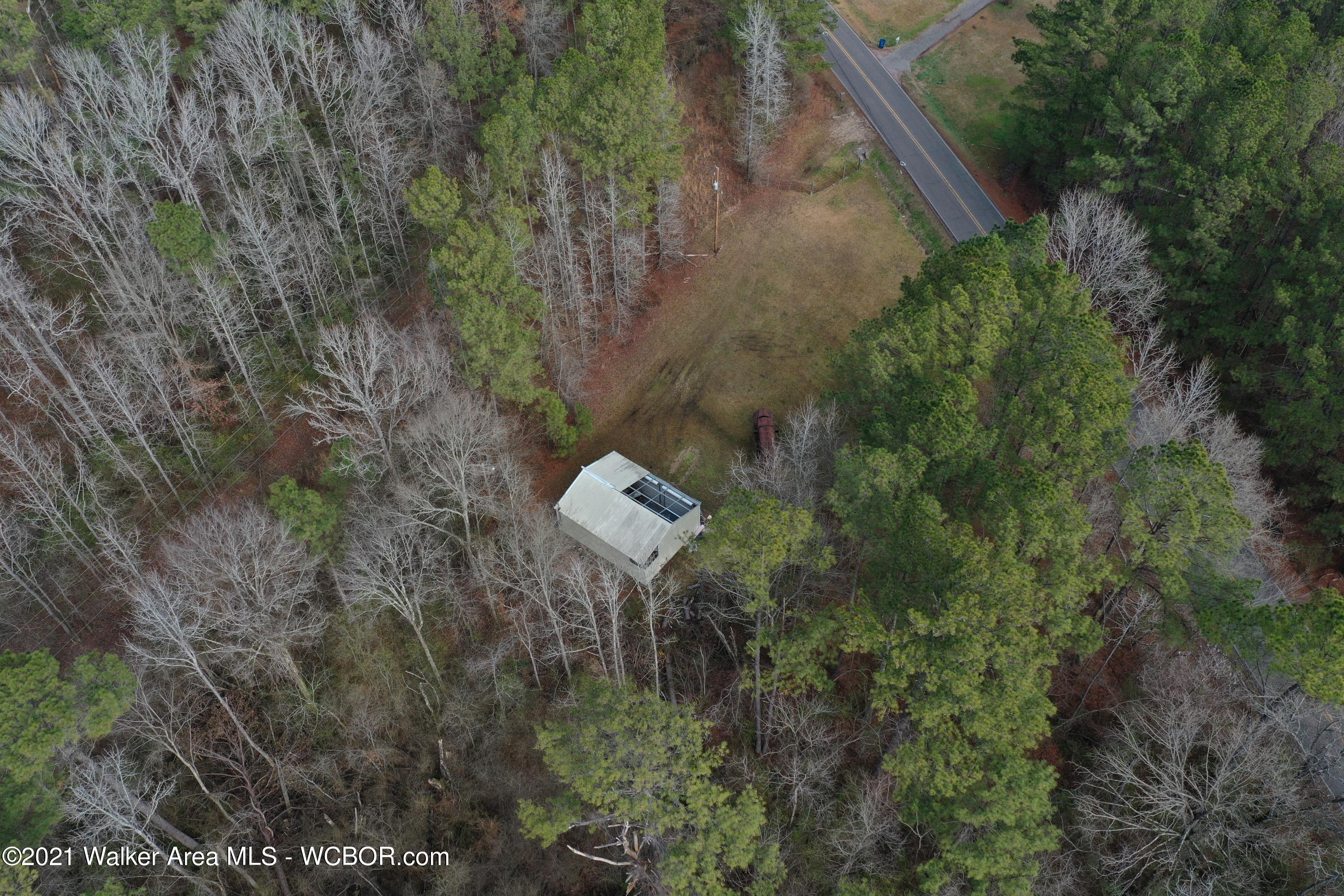 6441 Snowville Brent Road Dora, AL 35062 - Photo 3 of 3 Gallery Image 3