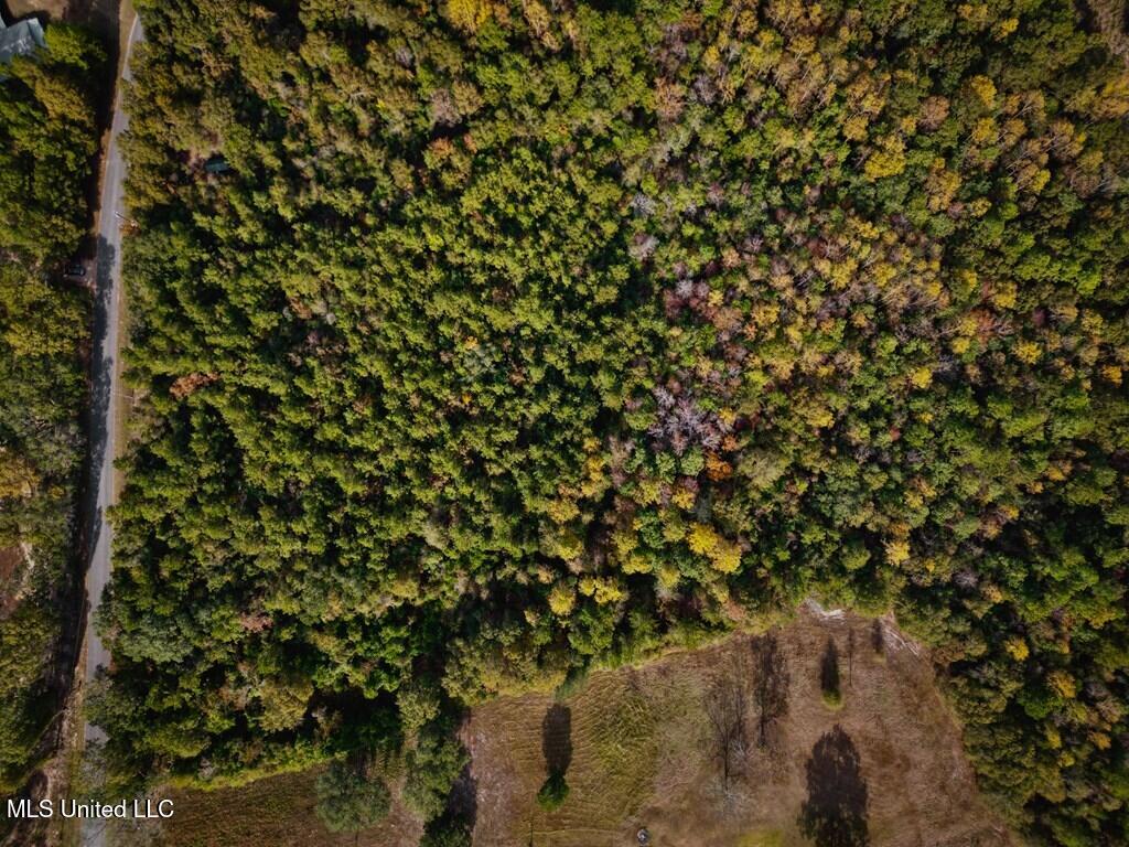 Oscar Lee Road Poplarville, MS 39470 - Photo 3 of 8 184129_5