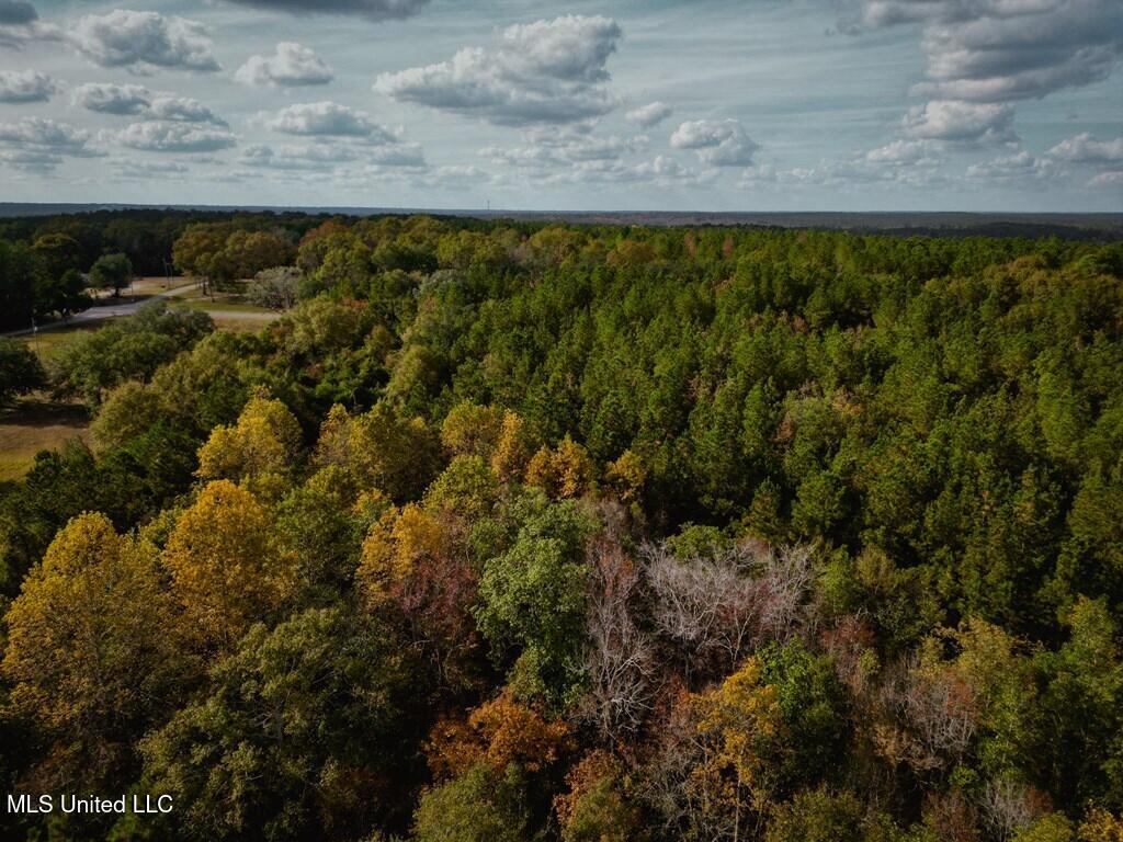 Oscar Lee Road Poplarville, MS 39470 - Photo 4 of 8 184129_3