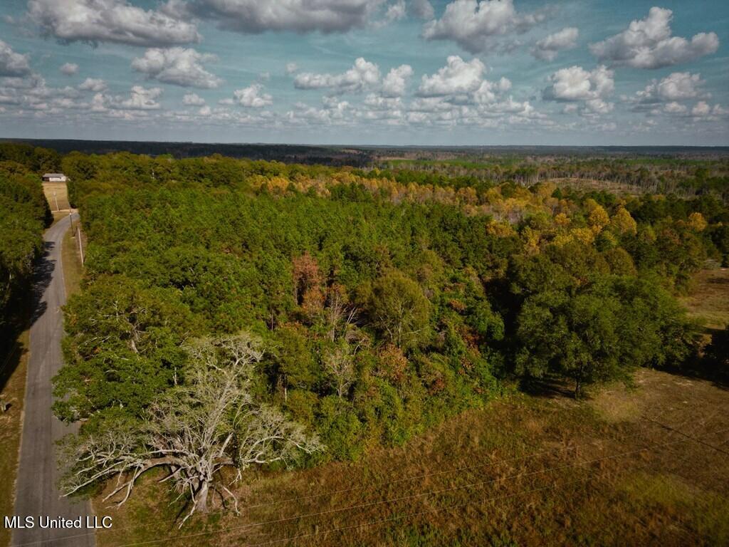 Oscar Lee Road Poplarville, MS 39470 - Photo 5 of 8 184129_7