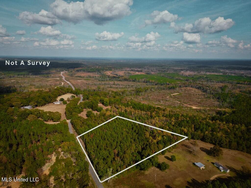 Oscar Lee Road Poplarville, MS 39470 - Photo 6 of 8 184129_6