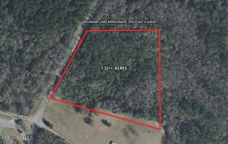 Oscar Lee Road Poplarville, MS 39470 - Photo 7 of 8 Map - Boundary