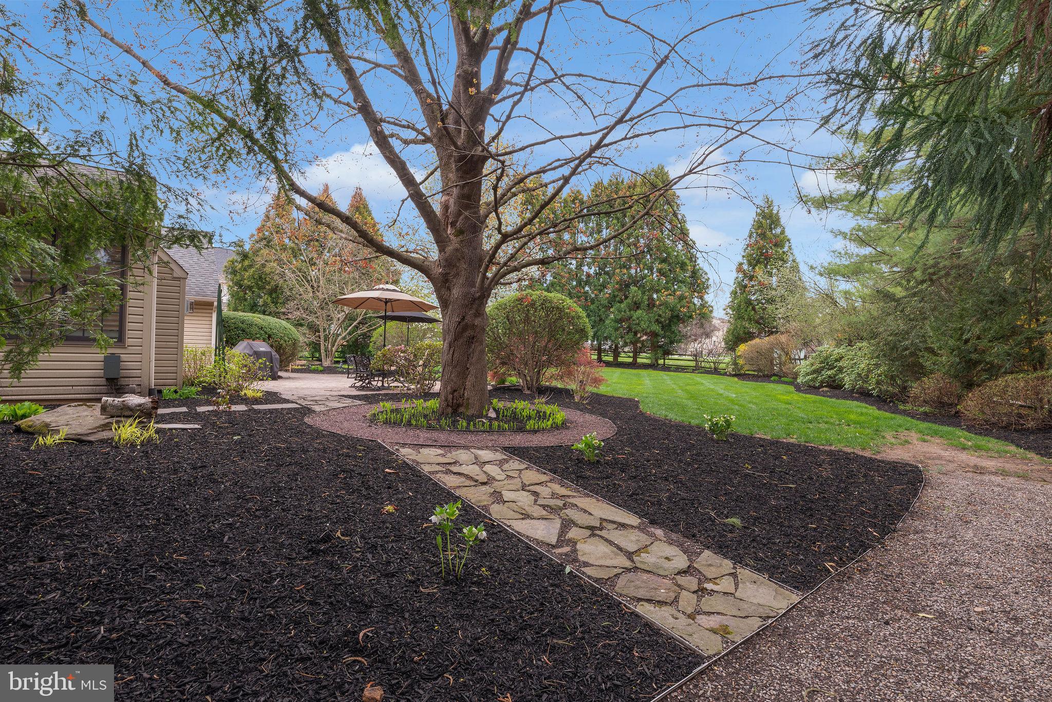 54 John Dyer Way Doylestown, PA 18902 - Photo 48 of 61 a view of a yard with plants and a large tree