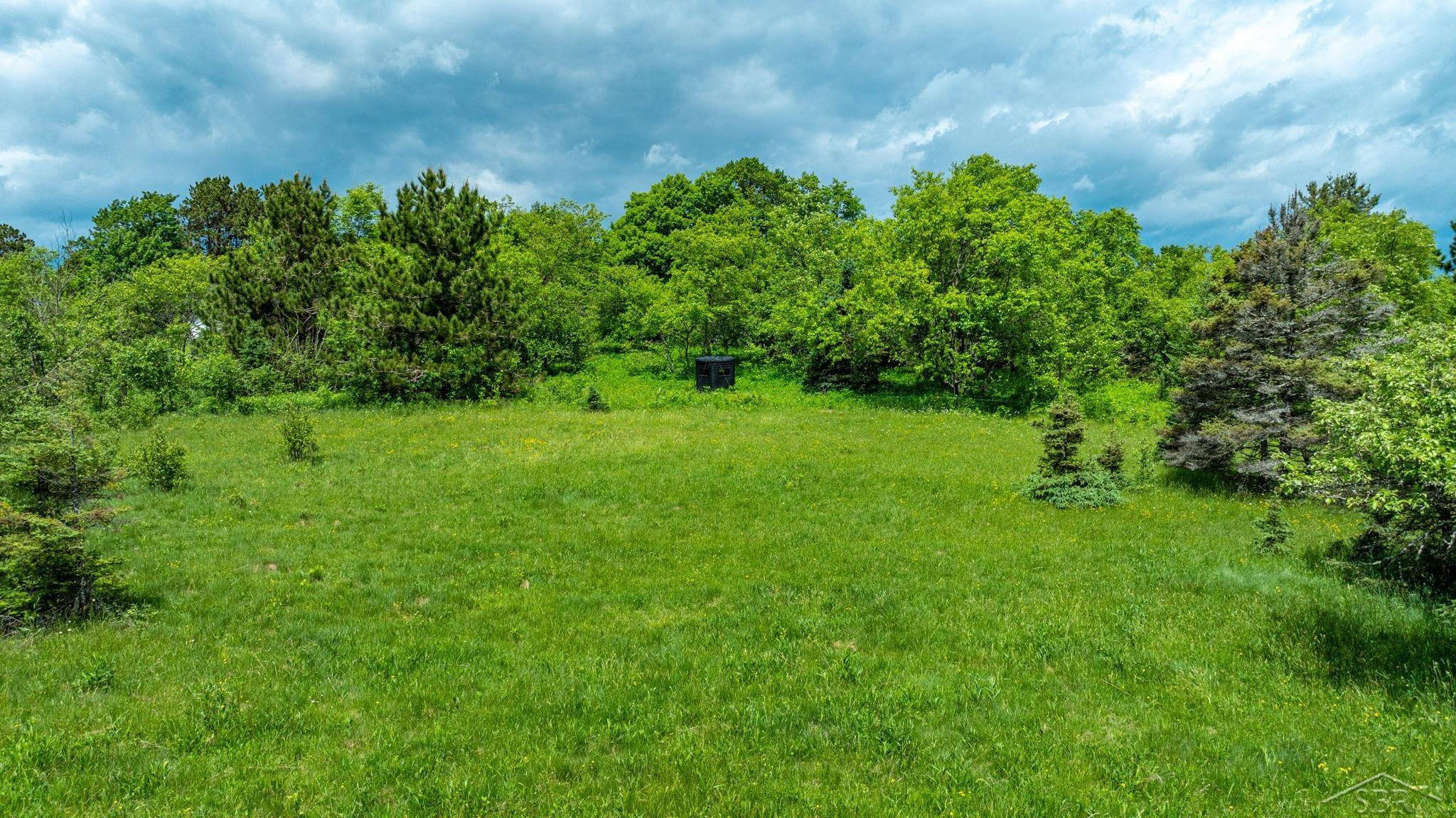 25615 Leo S Road Watton, MI 49970 - Photo 26 of 72