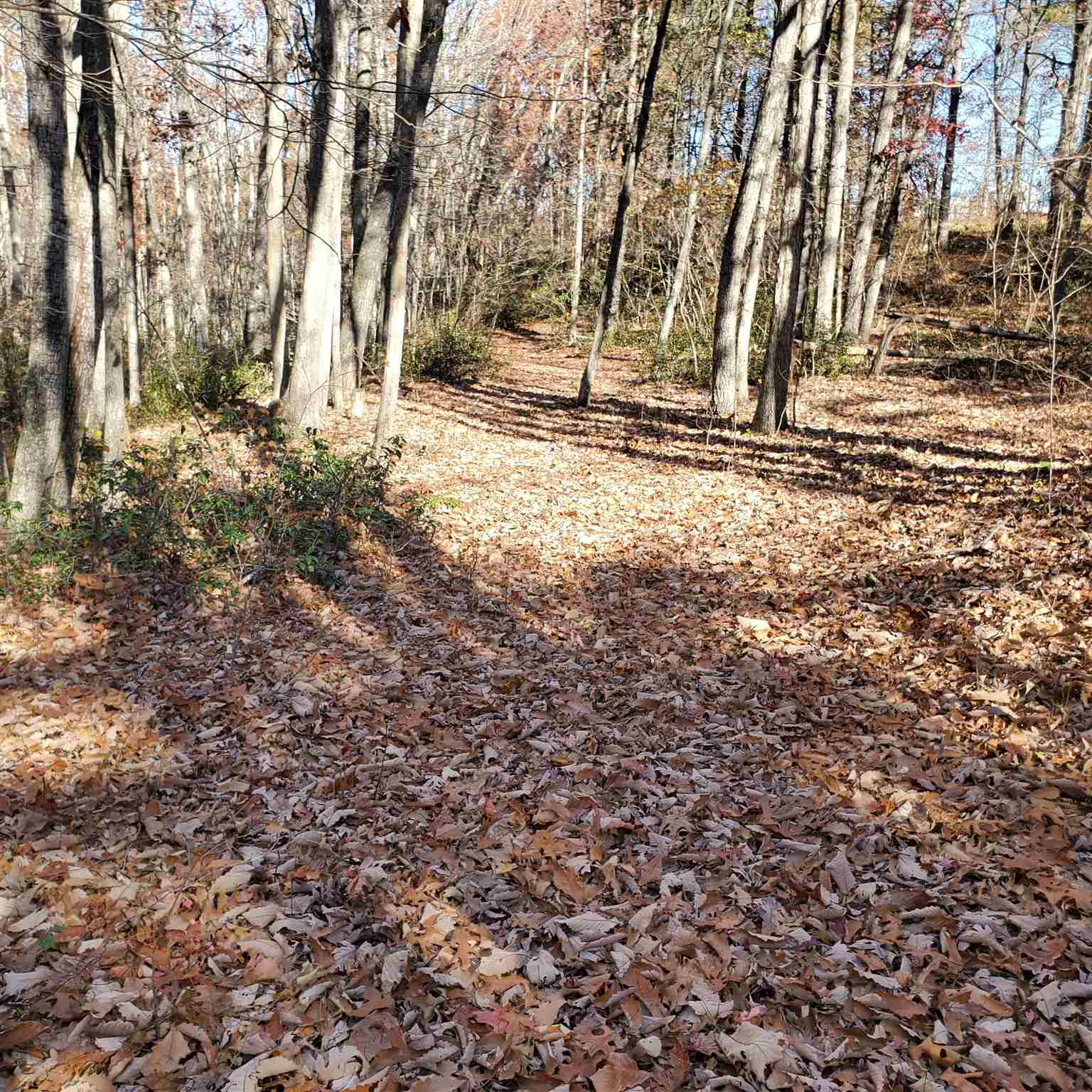 6.9-acres Tbd Wilda Road Stuarts Draft, VA 24477 - Photo 2 of 26 Gallery Image 2