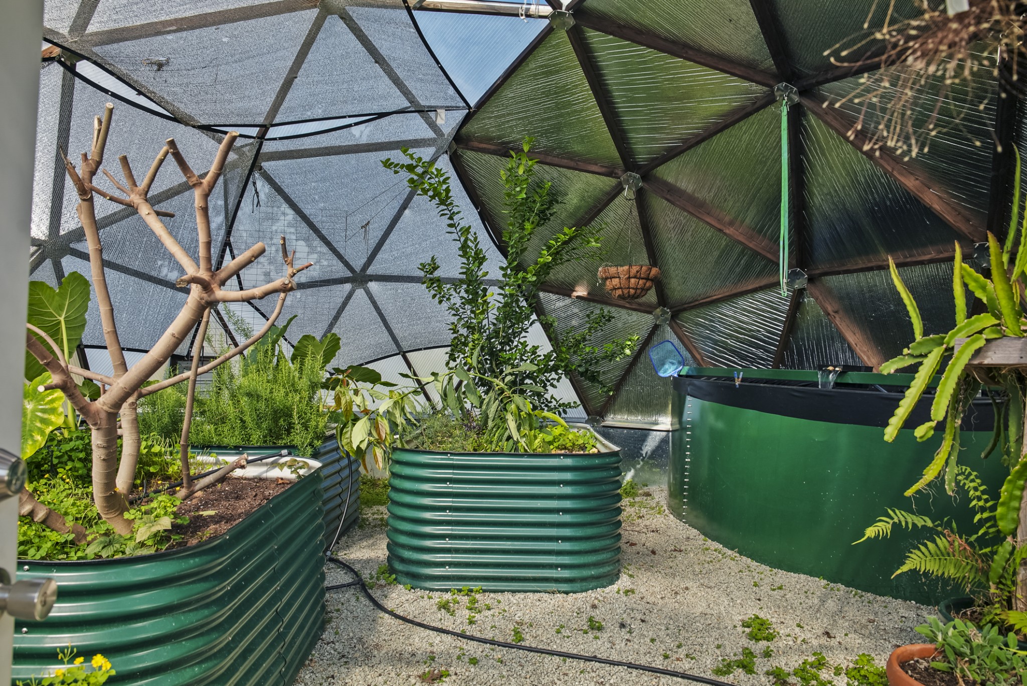 20 Zinker Road Lawrenceburg, TN 38464 - Photo 33 of 39 a view of a backyard