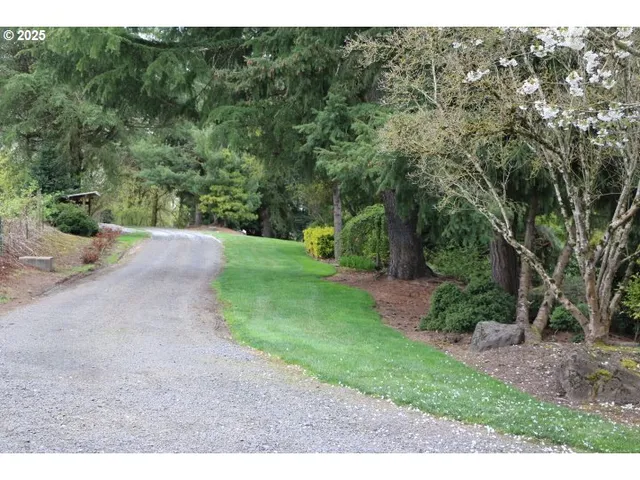 a view of a yard with plants and a bench