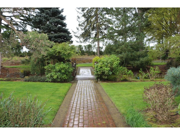 6503 Kinns Road Northeast Woodburn, OR 97071 - Photo 4 of 45 a view of a yard with plants and large trees