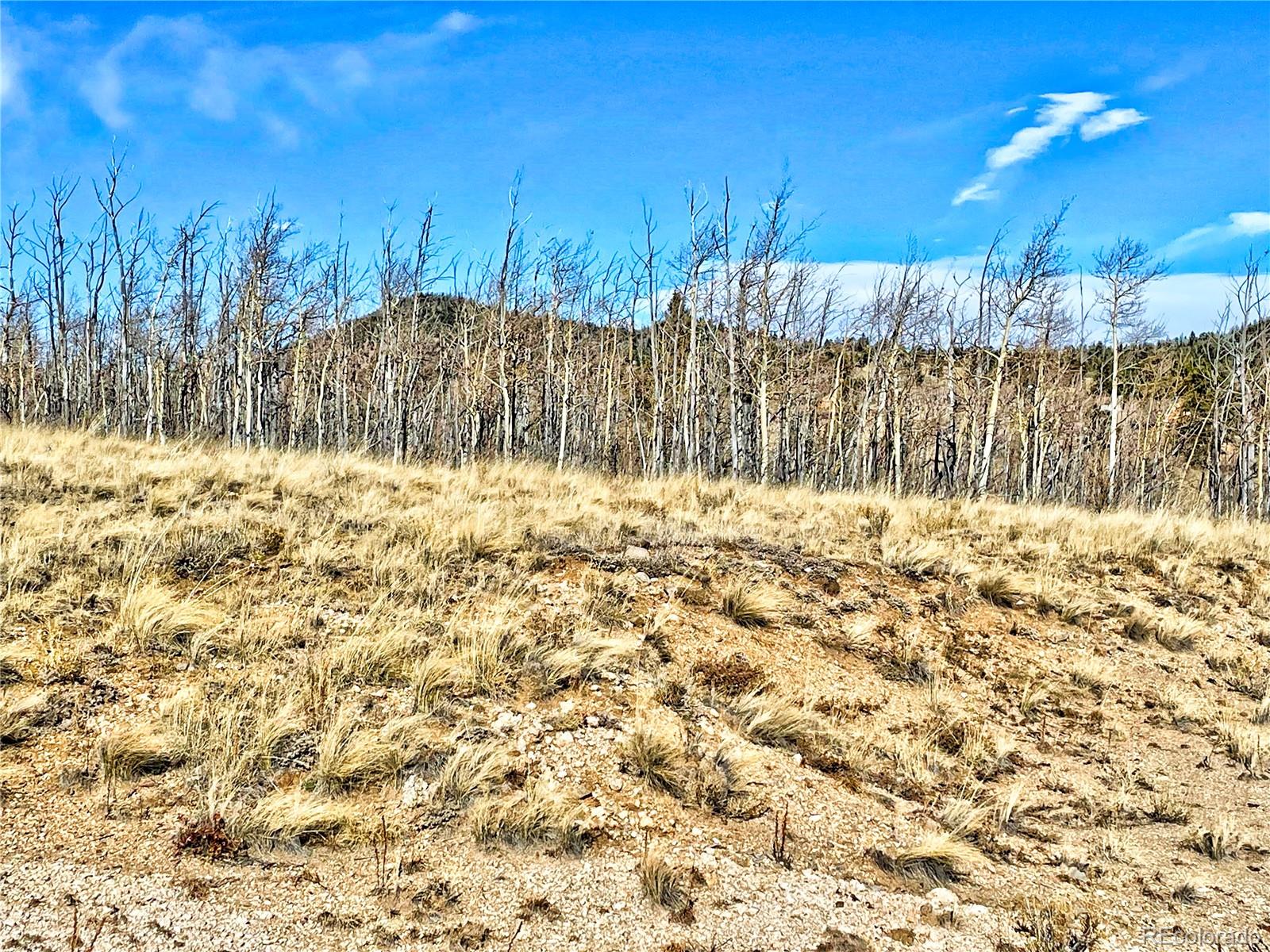 559 Warrior Circle Como, CO 80432 - Photo 2 of 10 a view of a yard with wooden fence