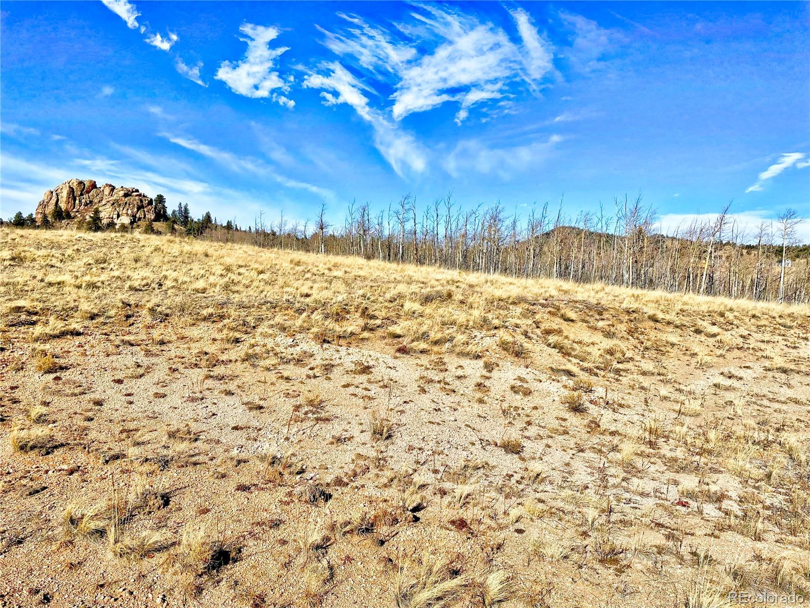 559 Warrior Circle Como, CO 80432 - Photo 3 of 10 a view of a yard with wooden fence