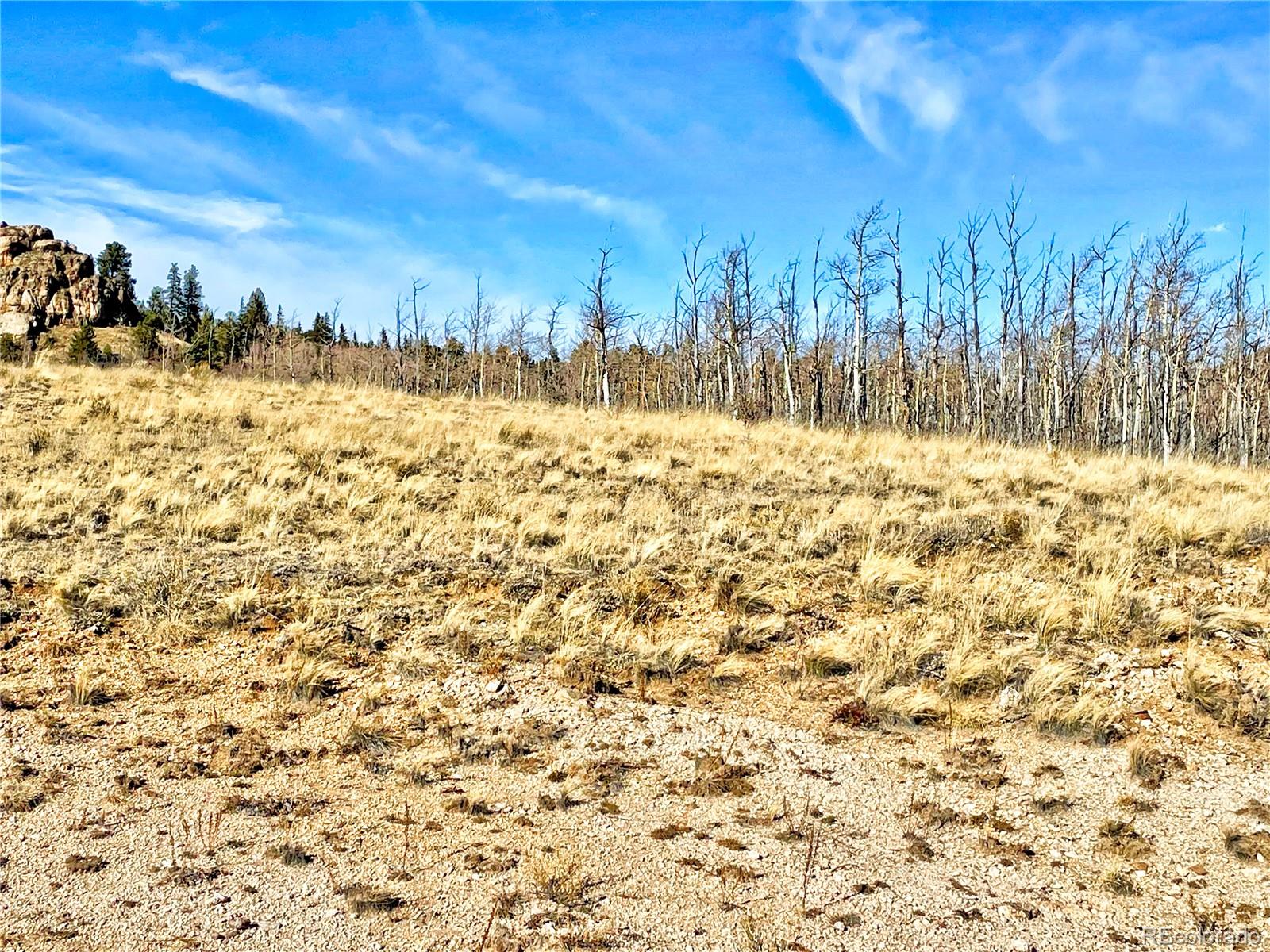 559 Warrior Circle Como, CO 80432 - Photo 4 of 10 a view of a yard with trees in the background